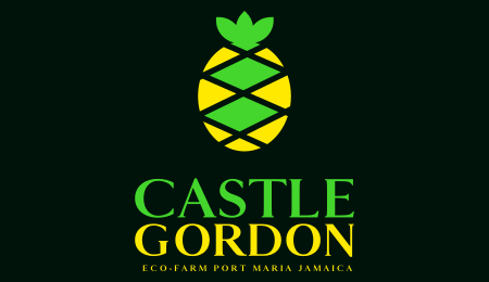 Castle Gordon